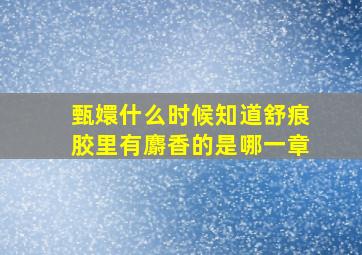 甄嬛什么时候知道舒痕胶里有麝香的是哪一章