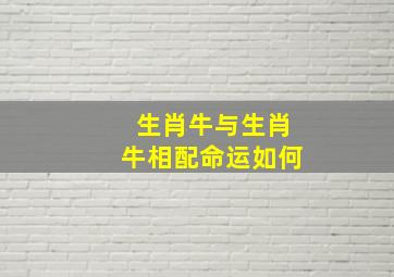 生肖牛与生肖牛相配命运如何