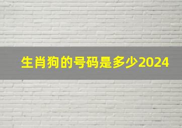 生肖狗的号码是多少2024