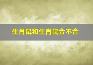 生肖鼠和生肖鼠合不合