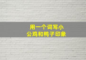 用一个词写小公鸡和鸭子印象