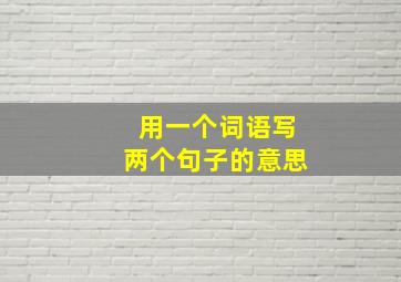 用一个词语写两个句子的意思