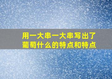 用一大串一大串写出了葡萄什么的特点和特点