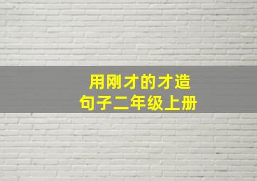 用刚才的才造句子二年级上册