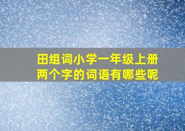 田组词小学一年级上册两个字的词语有哪些呢