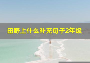 田野上什么补充句子2年级