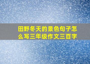 田野冬天的景色句子怎么写三年级作文三百字