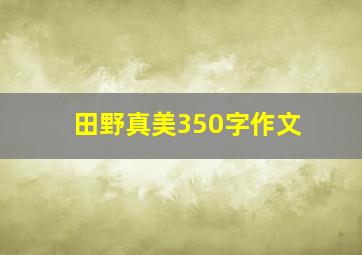 田野真美350字作文