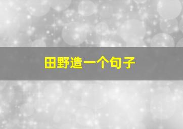 田野造一个句子