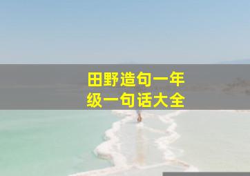 田野造句一年级一句话大全