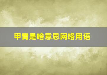 甲胄是啥意思网络用语