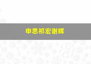 申思祁宏谢晖