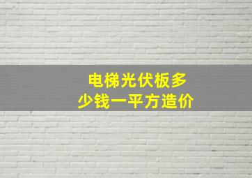 电梯光伏板多少钱一平方造价