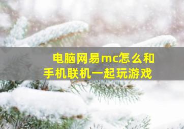 电脑网易mc怎么和手机联机一起玩游戏