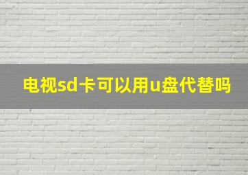 电视sd卡可以用u盘代替吗