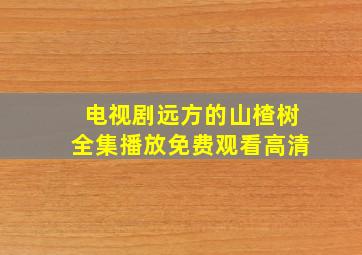 电视剧远方的山楂树全集播放免费观看高清