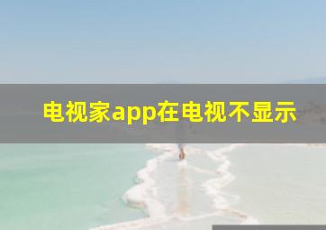 电视家app在电视不显示