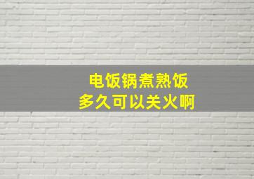 电饭锅煮熟饭多久可以关火啊