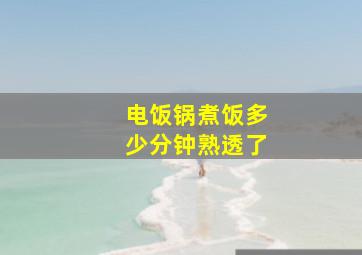 电饭锅煮饭多少分钟熟透了