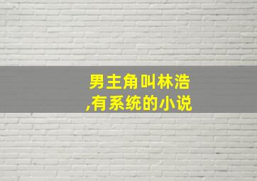 男主角叫林浩,有系统的小说