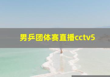 男乒团体赛直播cctv5