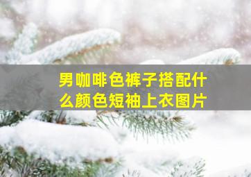 男咖啡色裤子搭配什么颜色短袖上衣图片