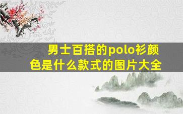 男士百搭的polo衫颜色是什么款式的图片大全