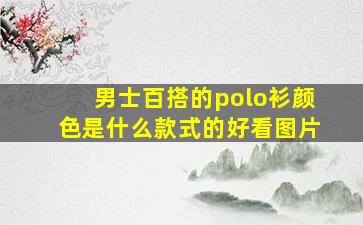 男士百搭的polo衫颜色是什么款式的好看图片