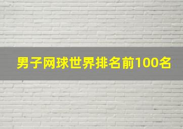 男子网球世界排名前100名