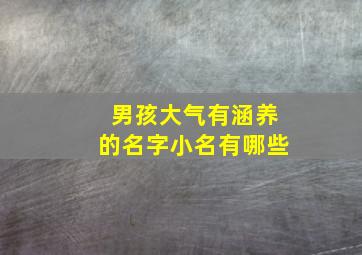 男孩大气有涵养的名字小名有哪些