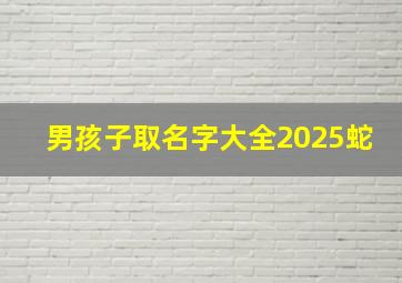 男孩子取名字大全2025蛇