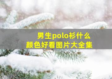 男生polo衫什么颜色好看图片大全集