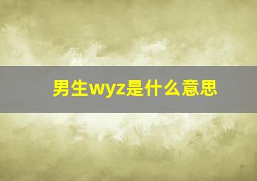 男生wyz是什么意思