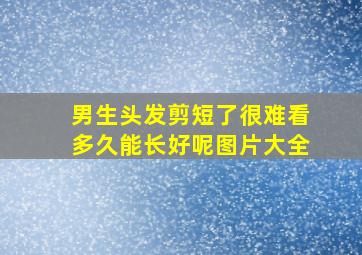 男生头发剪短了很难看多久能长好呢图片大全