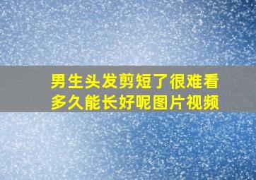 男生头发剪短了很难看多久能长好呢图片视频