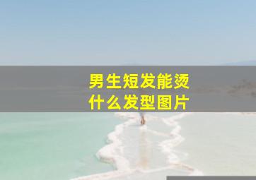 男生短发能烫什么发型图片