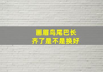 画眉鸟尾巴长齐了是不是换好