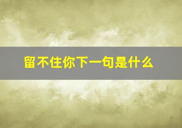 留不住你下一句是什么