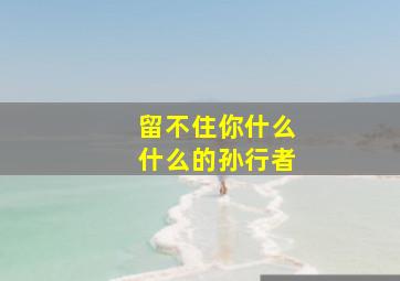 留不住你什么什么的孙行者