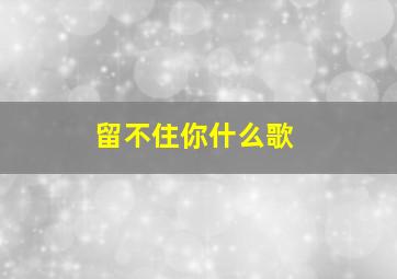 留不住你什么歌