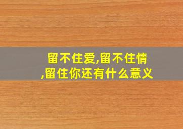 留不住爱,留不住情,留住你还有什么意义