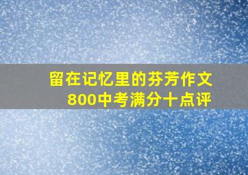 留在记忆里的芬芳作文800中考满分十点评