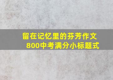 留在记忆里的芬芳作文800中考满分小标题式