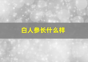 白人参长什么样