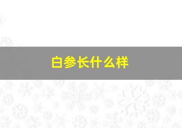 白参长什么样