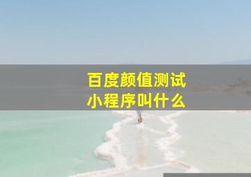 百度颜值测试小程序叫什么