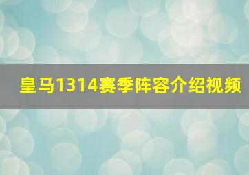 皇马1314赛季阵容介绍视频