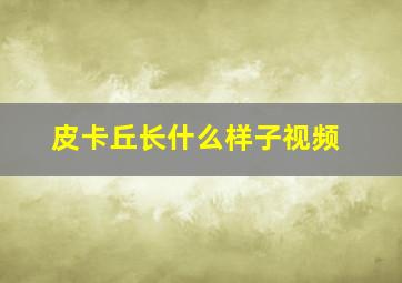 皮卡丘长什么样子视频