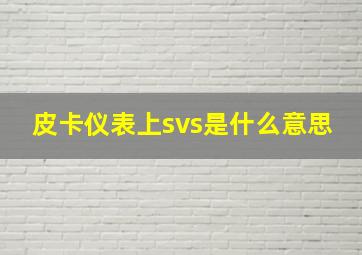 皮卡仪表上svs是什么意思