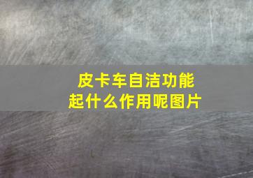 皮卡车自洁功能起什么作用呢图片